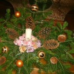Christbaum-Krippe-Aufbau MaHi